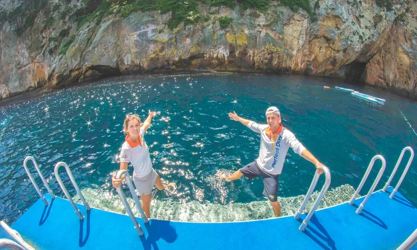Perfect Day Dive Tutukaka, Poor Knights Islands | Everything New Zealand
