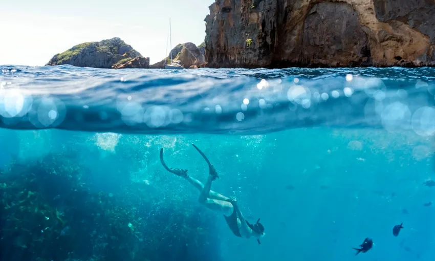 Perfect Day Dive Tutukaka, Poor Knights Islands | Everything New Zealand