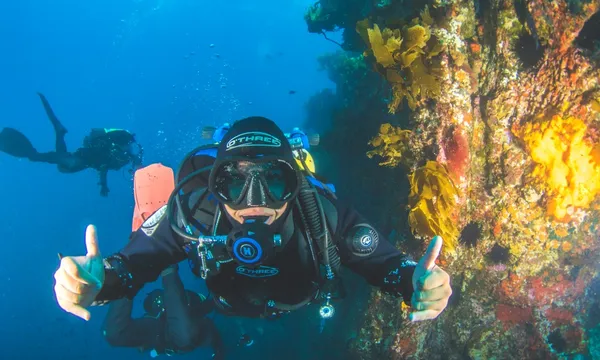 Scuba Diving - Dive Tutukaka