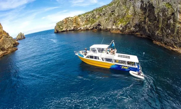 Scuba Diving - Dive Tutukaka