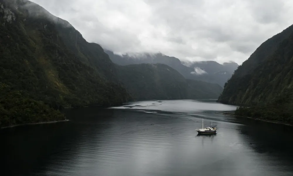 Doubtful Sound 2 Night Cruise | Everything New Zealand -5