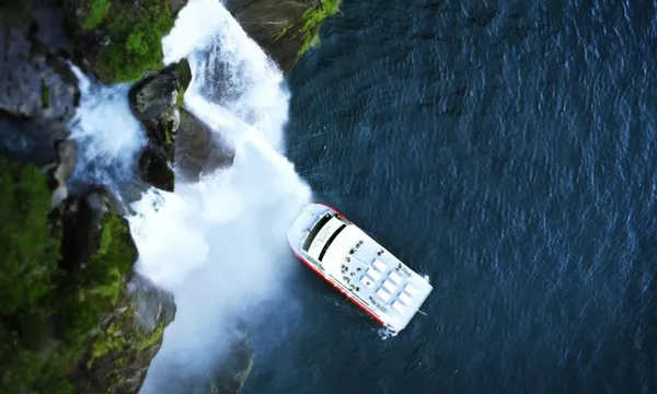 Milford Sound Coach | Cruise | Fly  with Air Milford