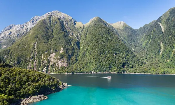 Milford Sound Coach | Cruise | Fly  with Air Milford