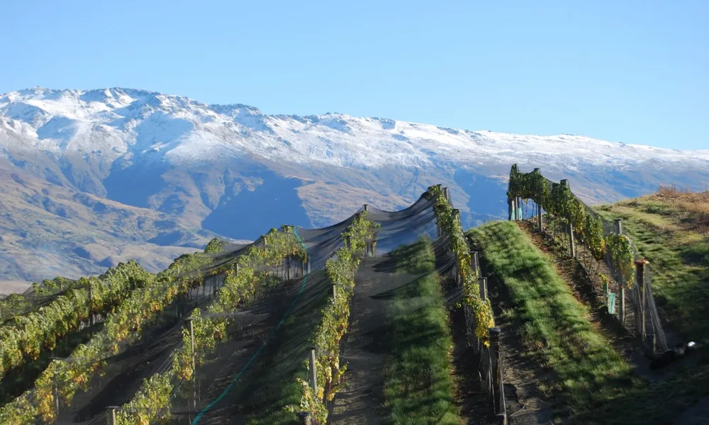Private Heli Wine Tour Queenstown | Everything New Zealand-3