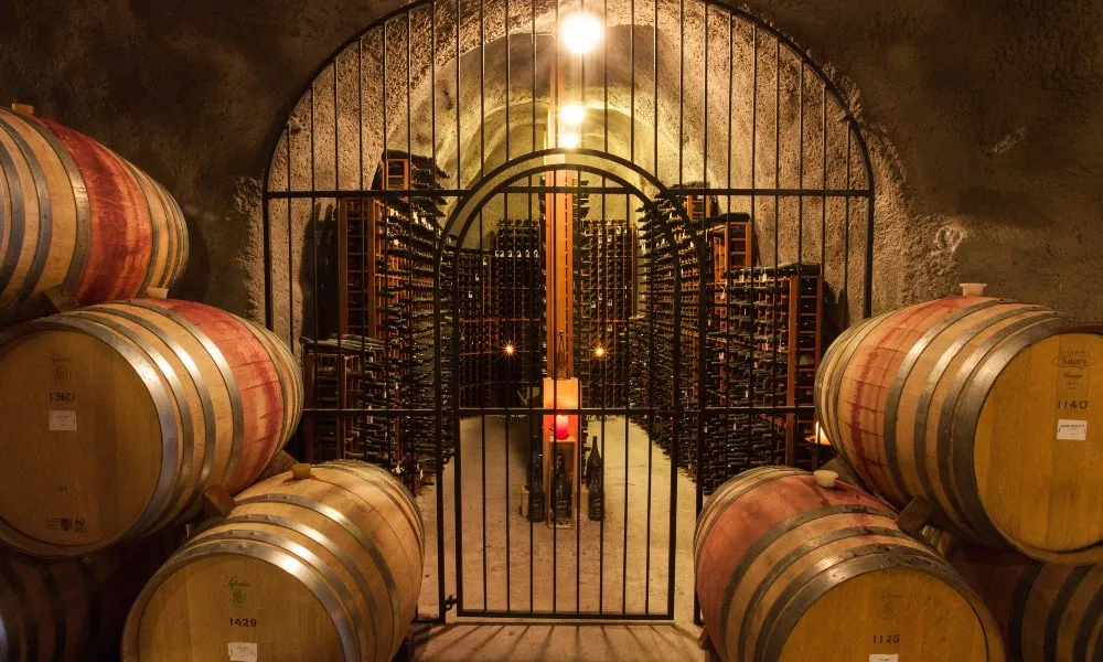 Luxury Wine Tour BLACK NZ Queenstown | Everything New Zealand-5