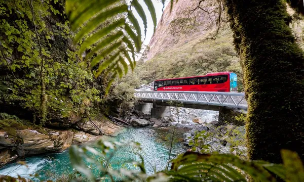 Milford Sound Coach & Nature Cruise from Queenstown