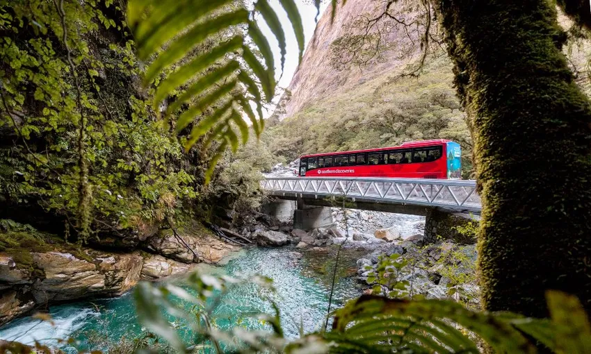 Milford Sound Coach & Cruise from Queenstown | Southern Discoveries | Everything New Zealand