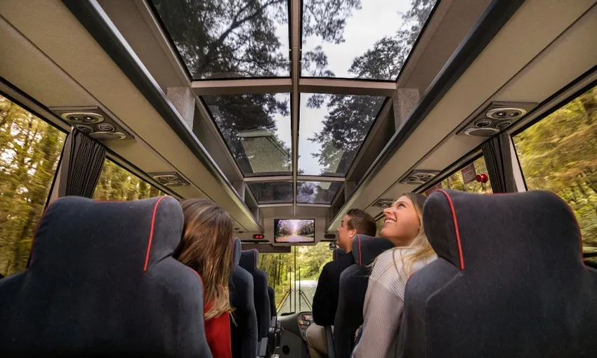 Milford Sound Coach & Cruise from Queenstown | Southern Discoveries | Everything New Zealand