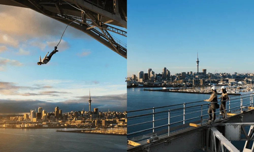 Auckland Bridge Bungy & Climb Combo | Everything New Zealand-1