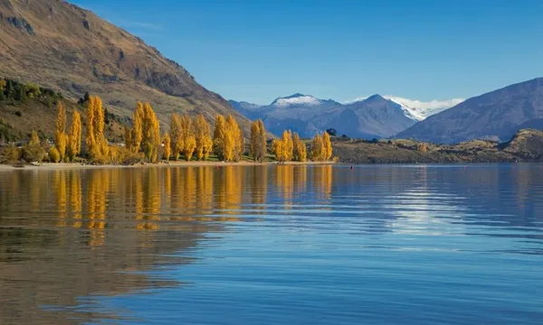 Arrowtown & Wanaka Highlights Tour
