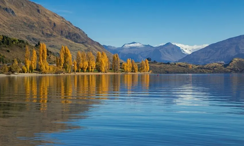 Arrowtown & Wanaka Small Group Tour | Everything New Zealand