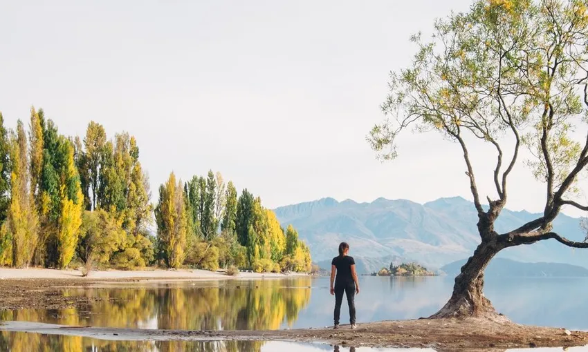 Arrowtown & Wanaka Small Group Tour | Everything New Zealand
