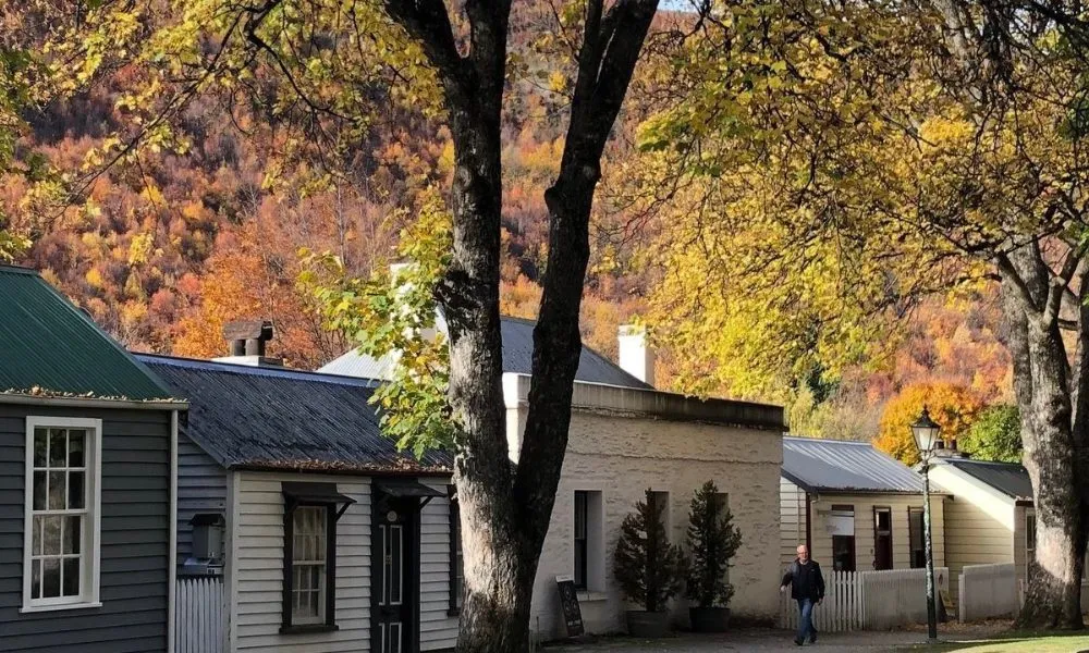 Arrowtown & Wanaka Small Group Tour | Everything New Zealand-5