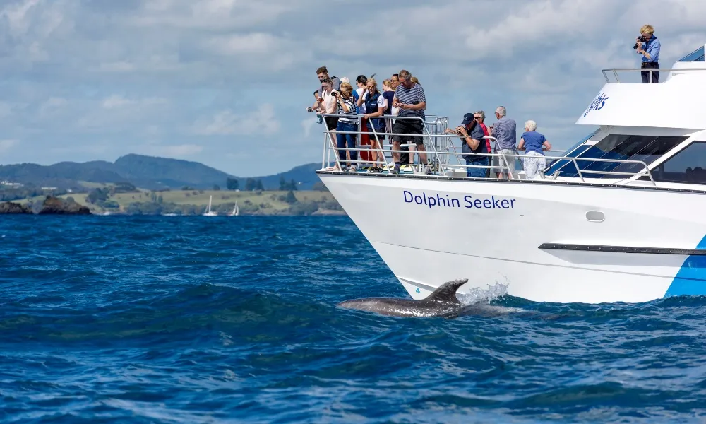 Bay of Islands Day Tour & Hole in the Rock, Auckland | Everything New Zealand-1