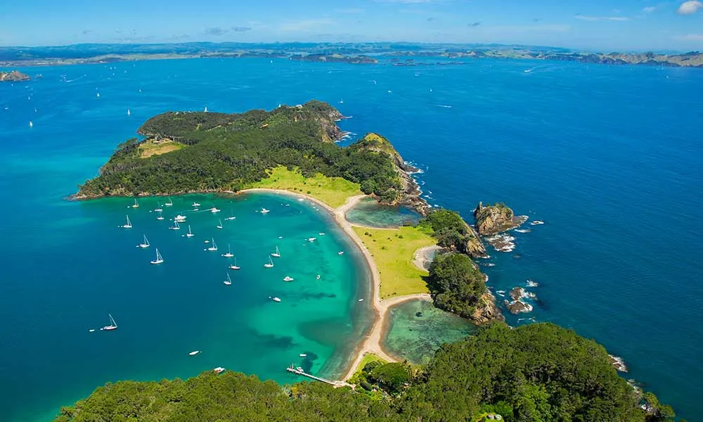 Bay of Islands Day Tour & Hole in the Rock, Auckland | Everything New Zealand-2