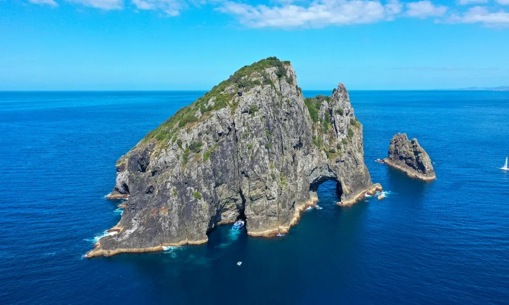 Bay of Islands Day Tour & Hole in the Rock, Auckland | Everything New Zealand-4