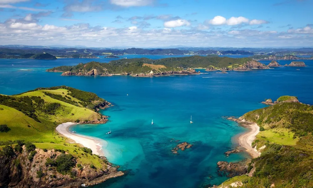Bay of Islands Day Tour & Hole in the Rock, Auckland | Everything New Zealand-5