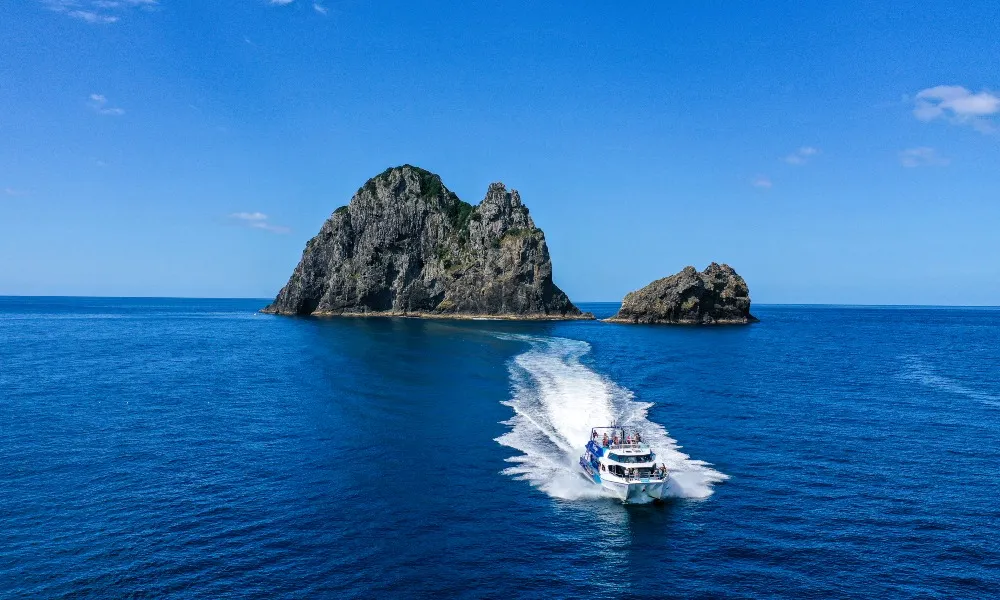 Bay of Islands Day Tour & Hole in the Rock, Auckland | Everything New Zealand-6