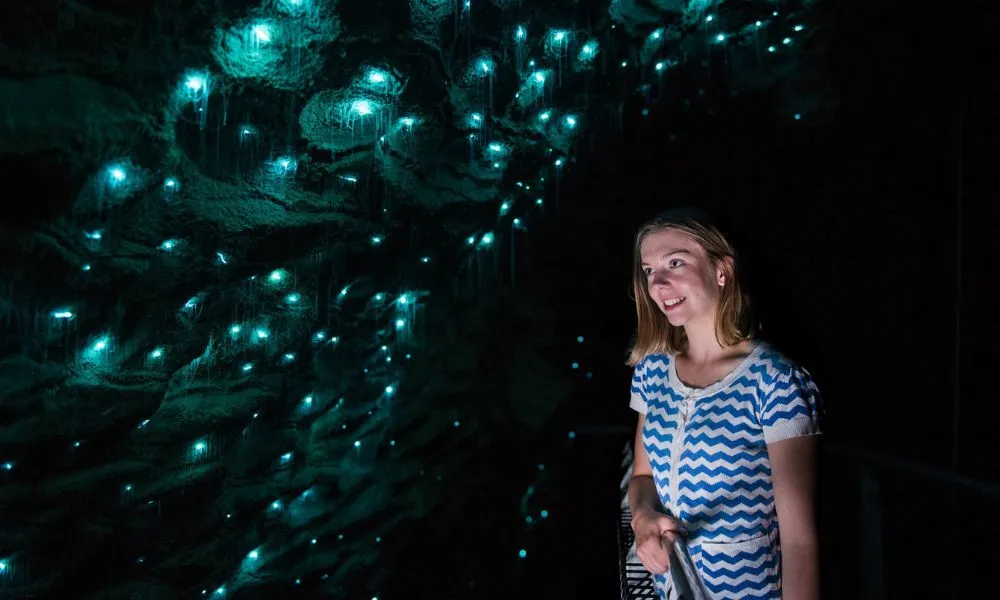 Hobbiton Day Tour from Auckland | Everything New Zealand-6