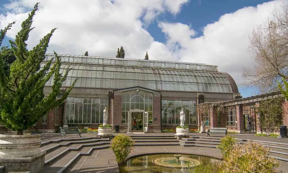 Auckland City Sights Tour - Everything New Zealand-5