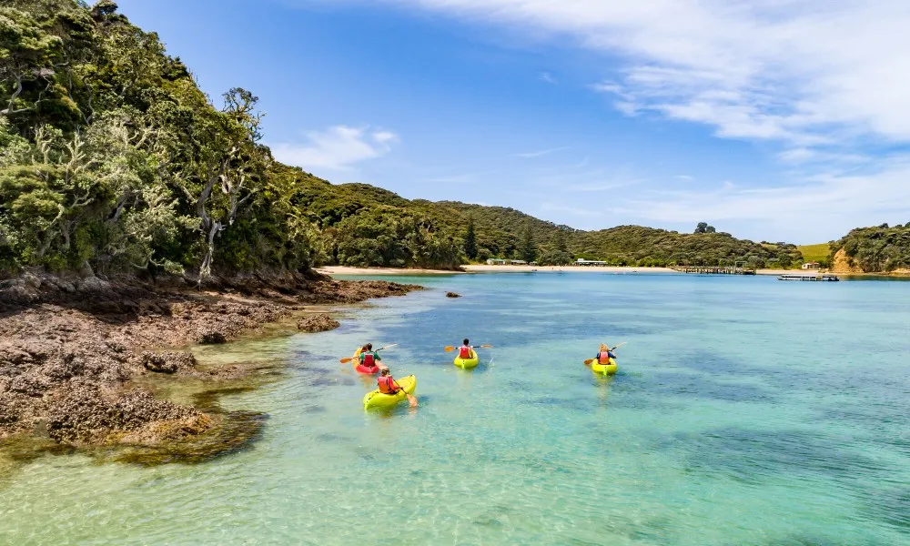 Otehei Bay Ferry, Bay of Islands | Everything New Zealand-3