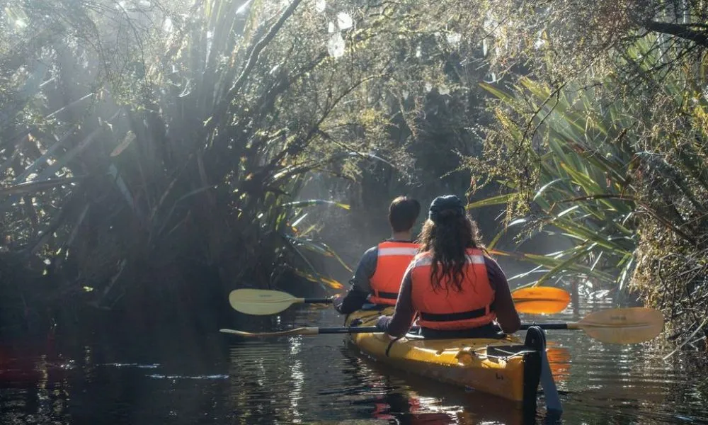 Glacier Kayak Tours | Kayaking Franz Josef - Everything New Zealand-4