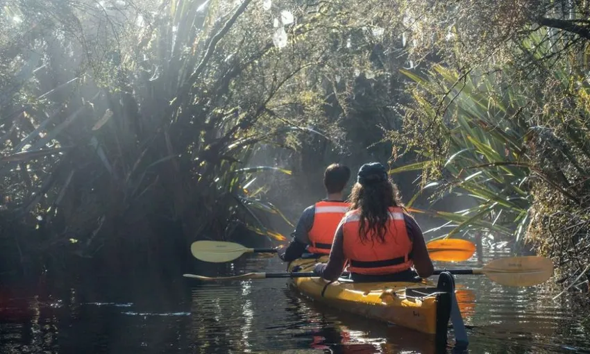 Glacier Kayak Tours | Kayaking Franz Josef - Everything New Zealand