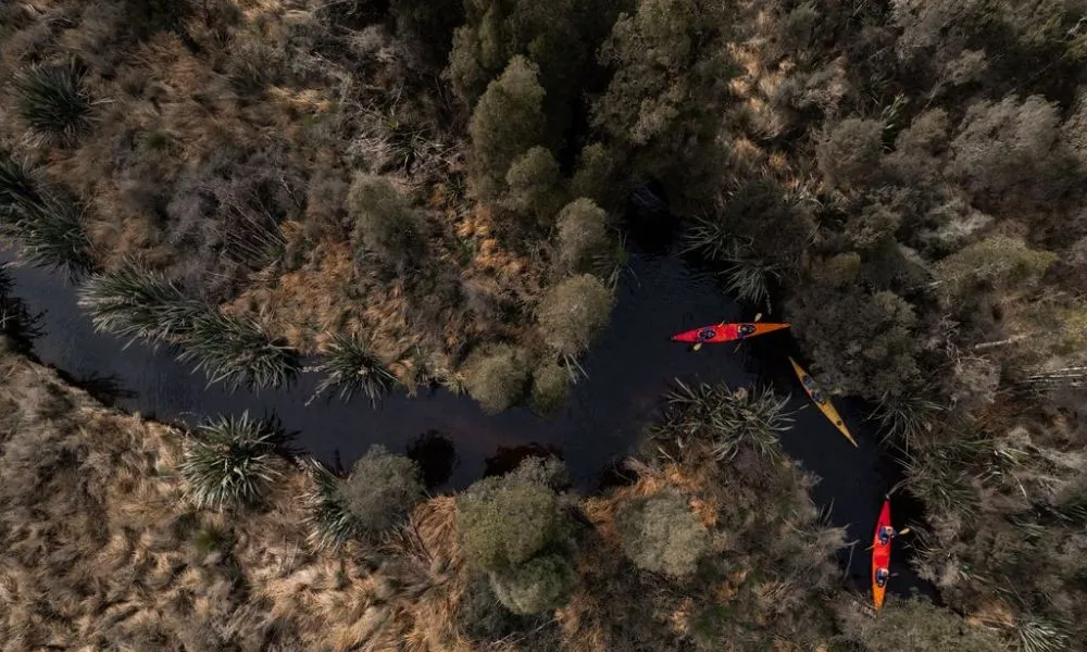 Glacier Kayak Tours | Kayaking Franz Josef - Everything New Zealand-5