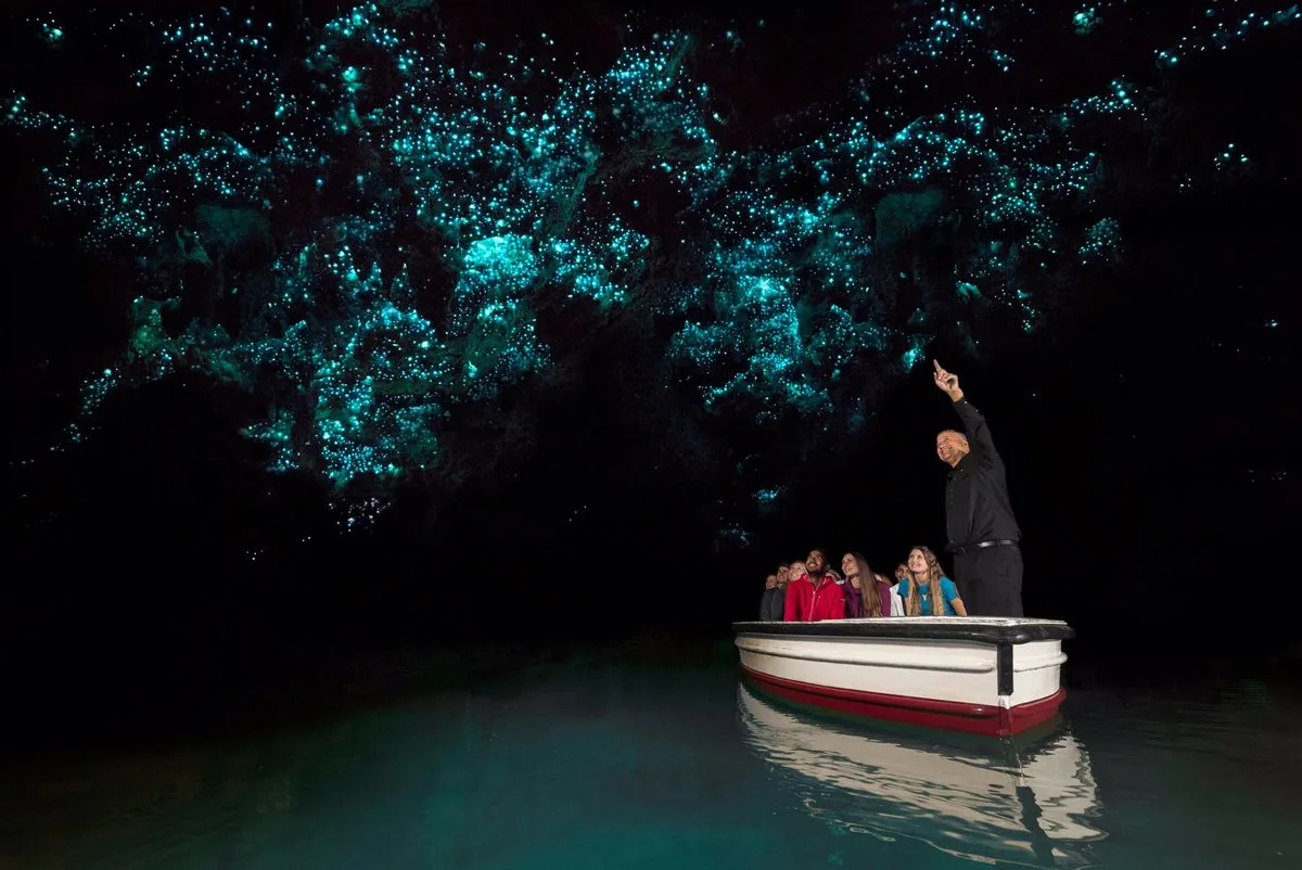 Waitomo & Rotorua Day Tours from Auckland | Everything New Zealand-4
