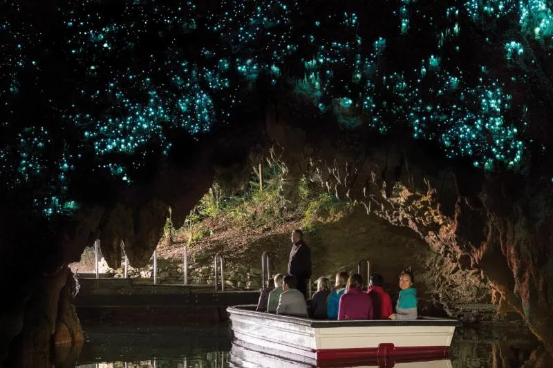 Waitomo & Rotorua Day Tours from Auckland | Everything New Zealand-8