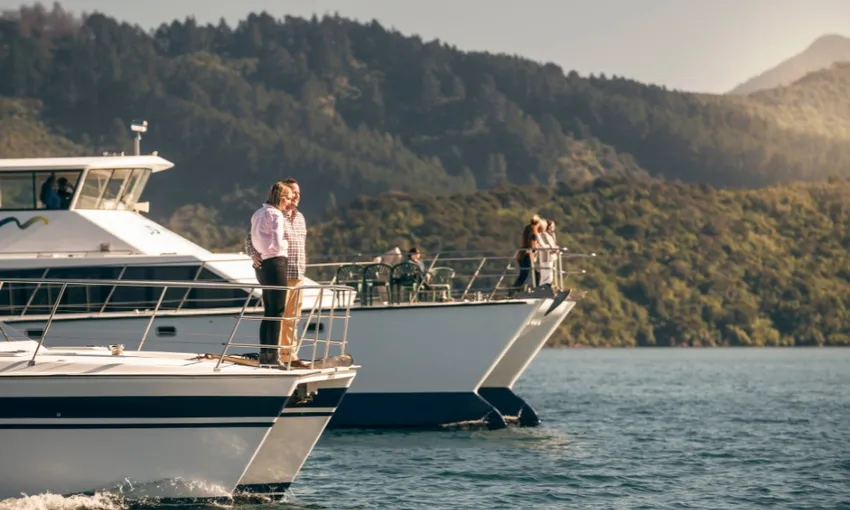 Greenshell Mussel Cruise Picton | Everything New Zealand
