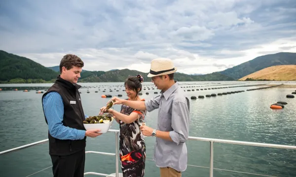 Original Greenshell Mussel Cruise in Picton