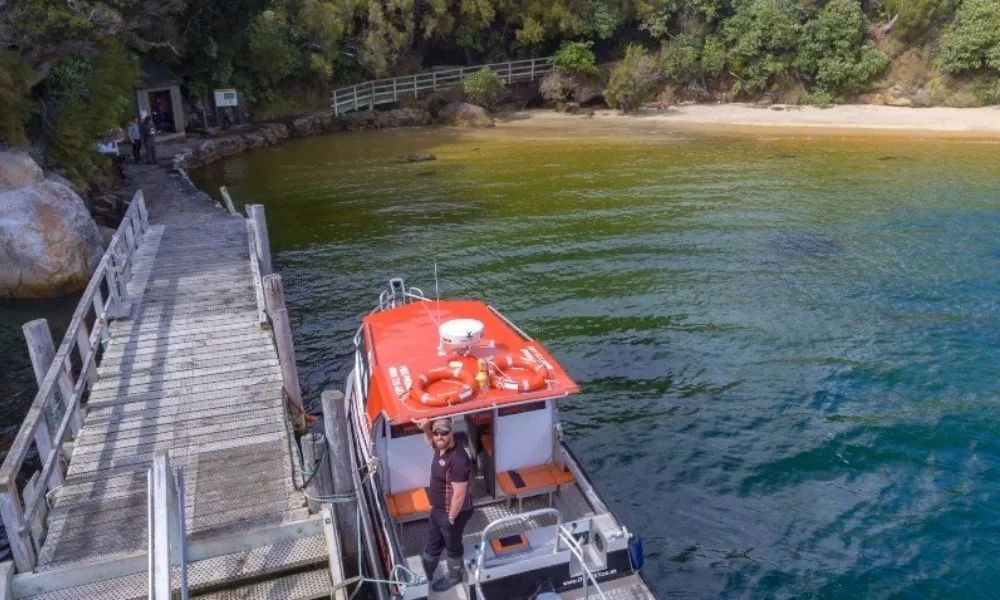 Rakiura Charters and Water Taxi – Ulva Island Freedom Walk | Everything New Zealand-2