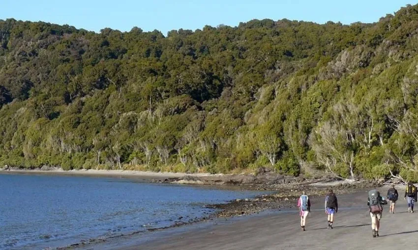 Rakiura Charters and Water Taxi - Port William Freedom Walk | Everything New Zealand