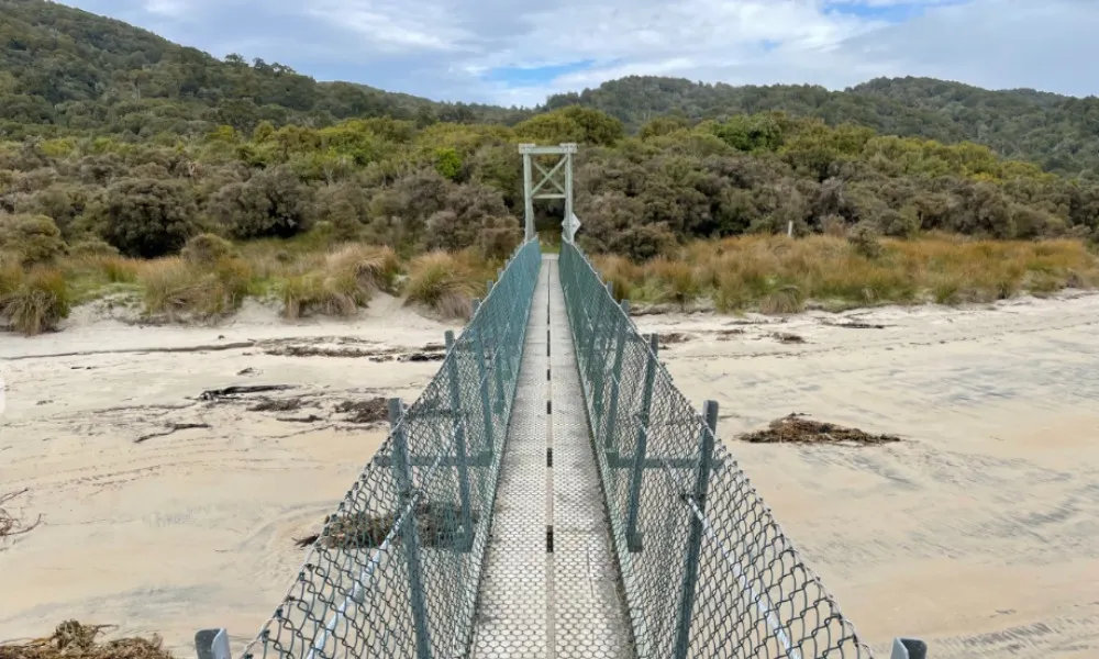 Rakiura Charters and Water Taxi - Port William Freedom Walk | Everything New Zealand -4