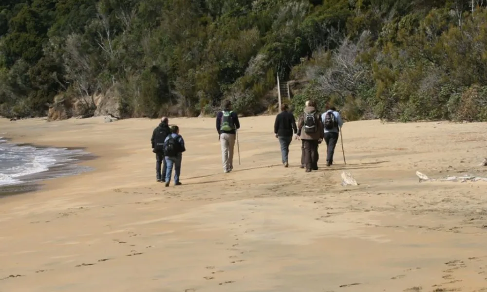 Ulva Island Guided Walk Rakiura Charters and Water Taxi-4