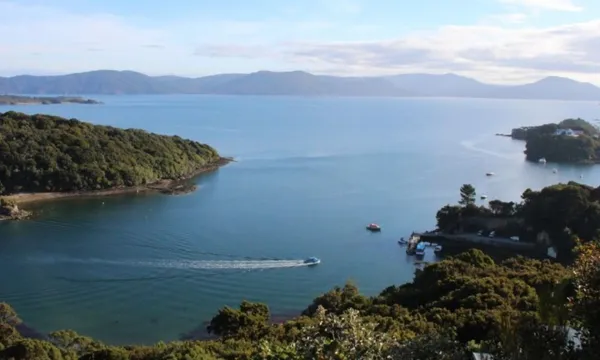 Guided Boat Tour of Historic Whalers Base