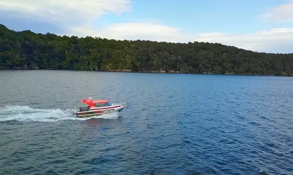 Guided Boat Tour of Historic Whalers Base