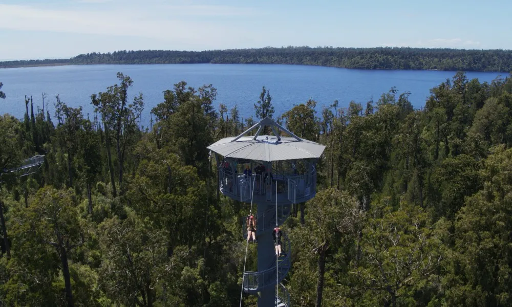 West Coast Tree Top Walk | Everything New Zealand-1