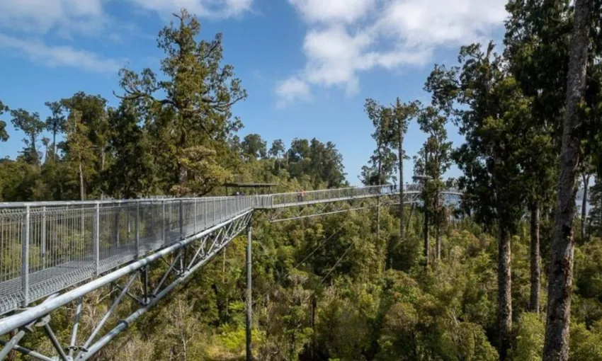 West Coast Tree Top Walk | Everything New Zealand