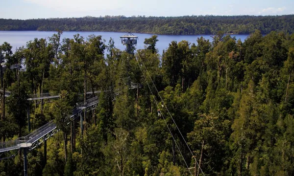 West Coast Treetop Walk in Hokitika