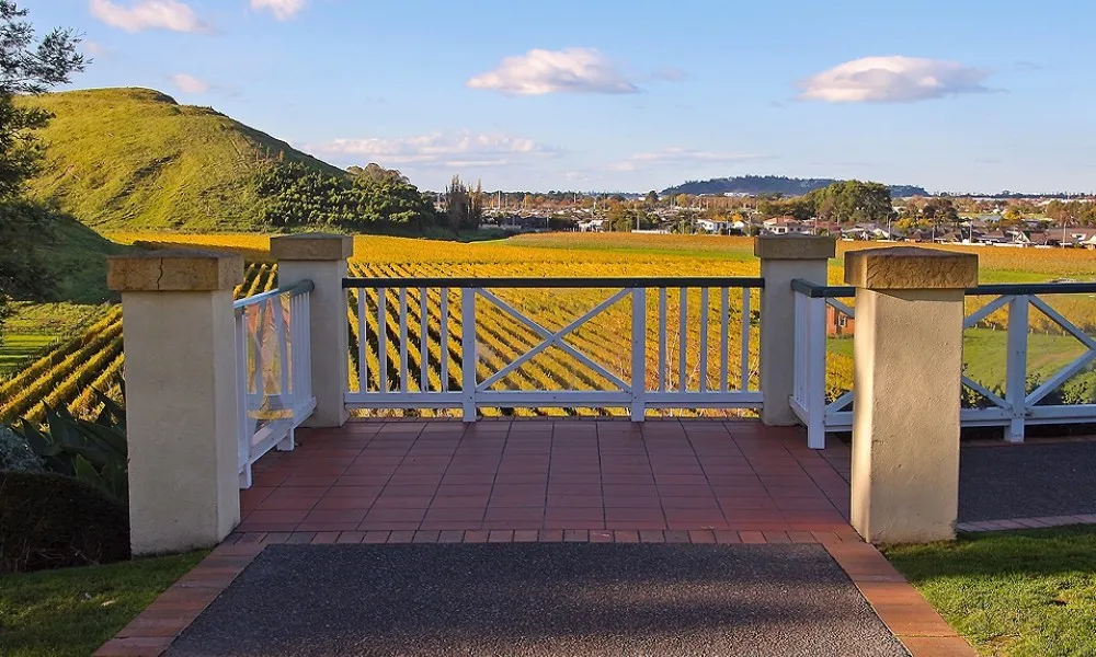 Wine Tours - Hawkes Bay Wine Experience | Everything New Zealand-3