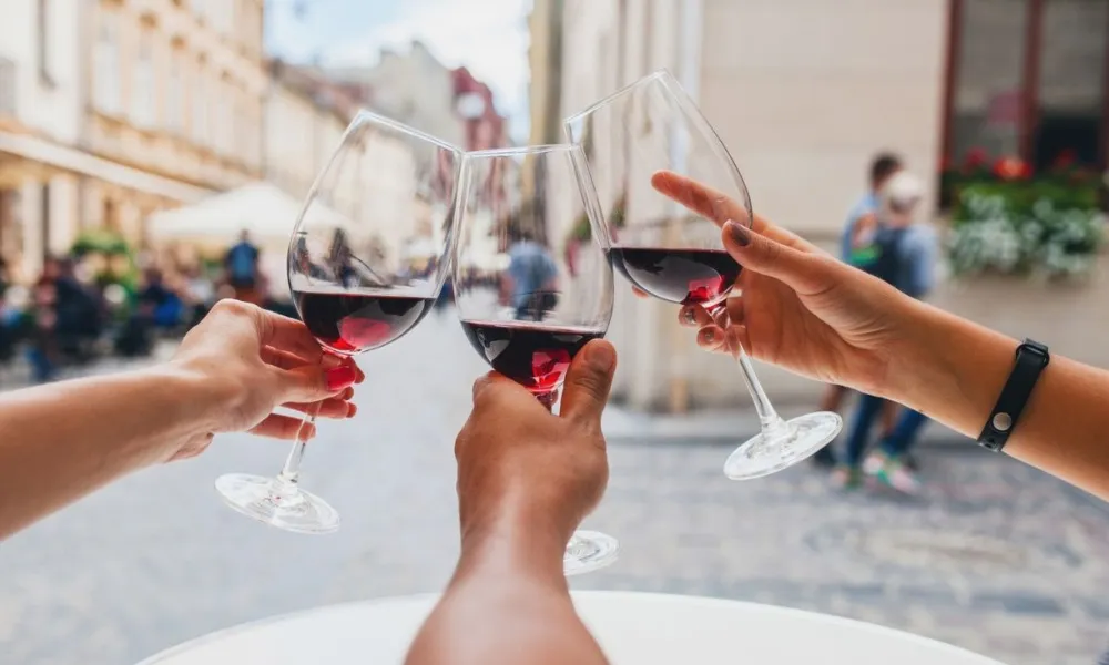 Wine Tours - Hawkes Bay Wine Experience | Everything New Zealand-1