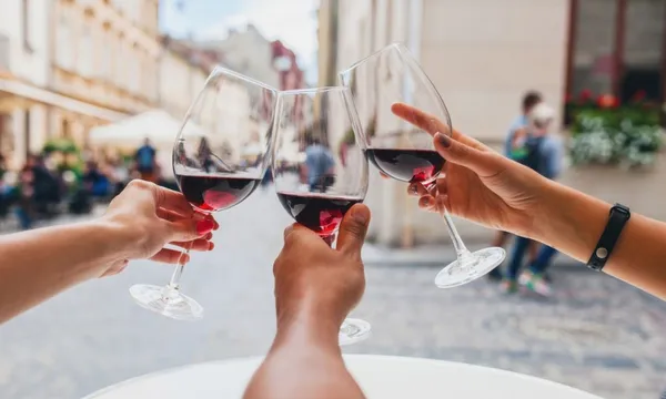 Napier Wine Experience