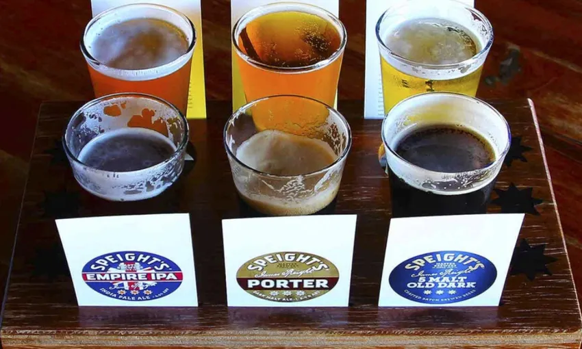 Wine Tours - Napier Wine & Beer Tour | Everything New Zealand