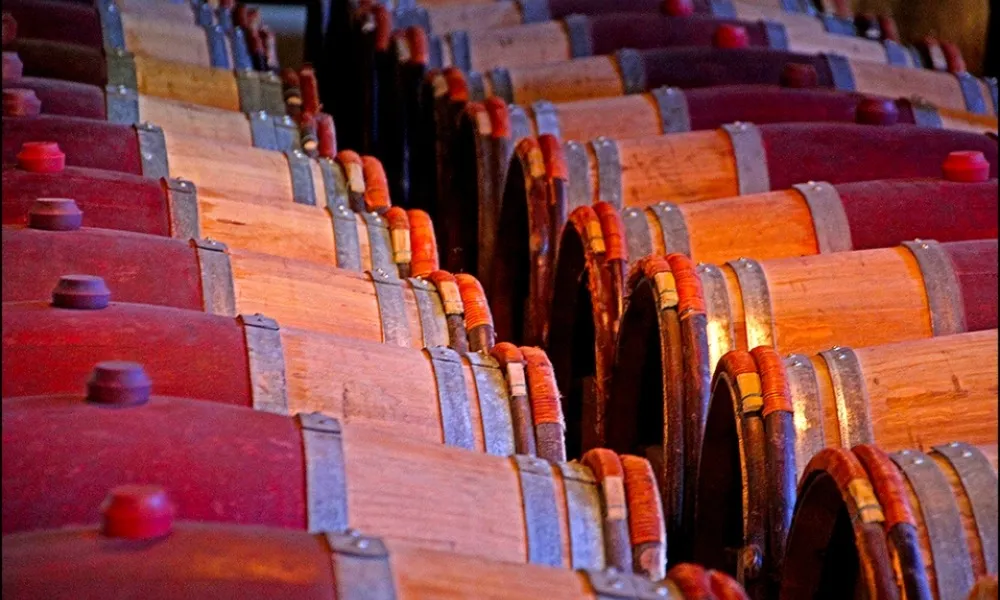 Wine Tours - Napier Wine & Beer Tour | Everything New Zealand-5