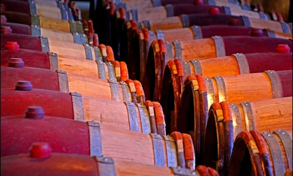 Wine Tours - Napier Wine & Beer Tour
