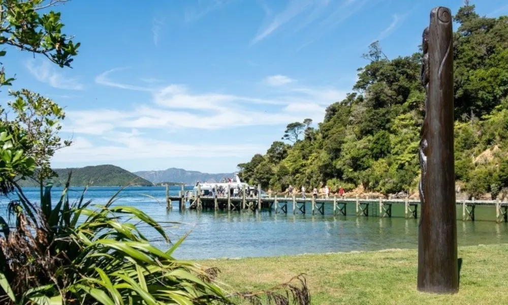 Queen Charlotte Track Day Walk & Cruise | Everything New Zealand-2
