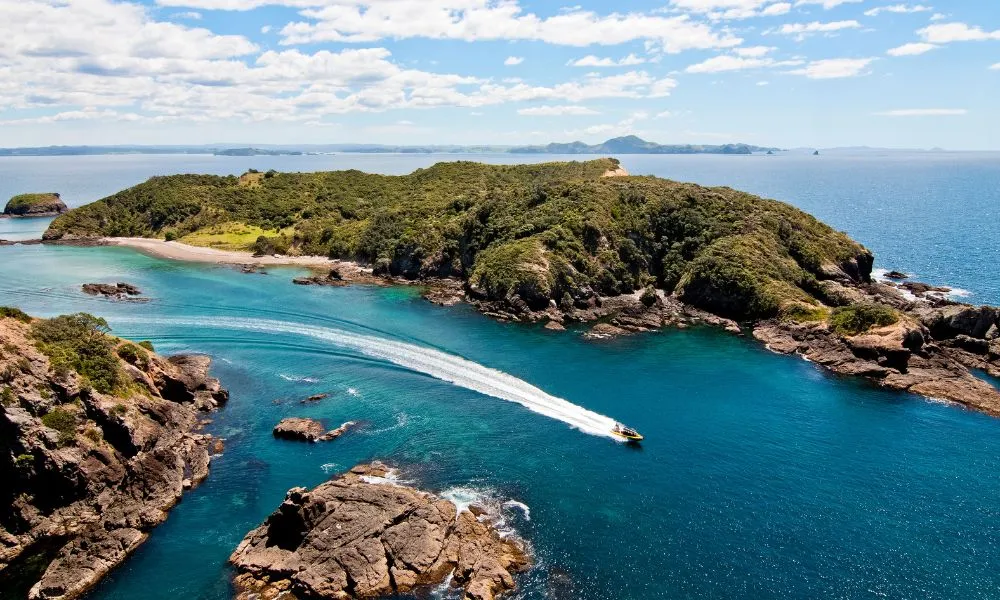 Hole in the Rock Cruise - Ocean Adventure | Bay of Islands | Everything New Zealand-3