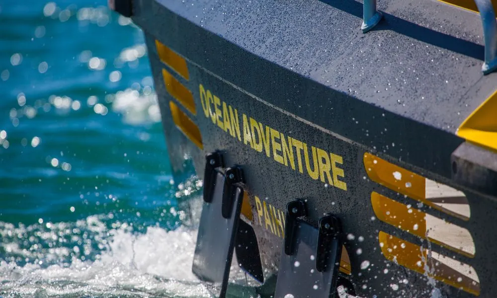 Hole in the Rock Cruise - Ocean Adventure | Bay of Islands | Everything New Zealand-6